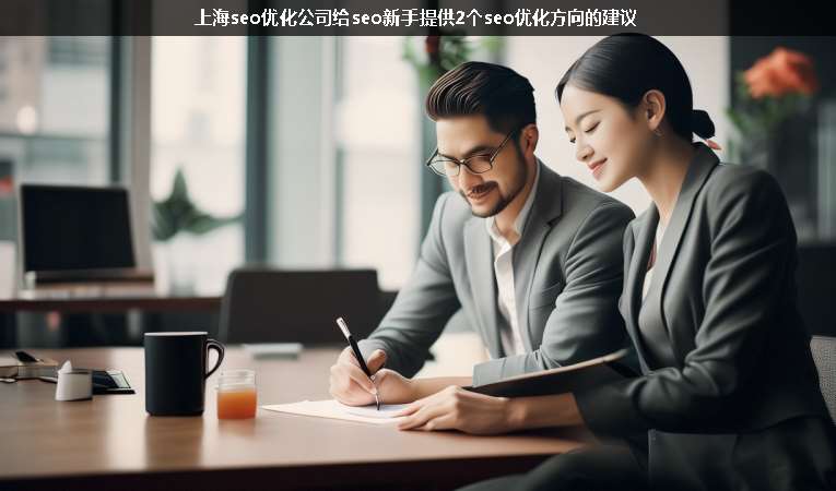 上海seo優(yōu)化公司給seo新手提供2個seo優(yōu)化方向的建議